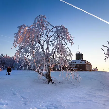 The Suite Winterberg Deluxe: Ski-to-Market Luxury with Garden Exterior photo