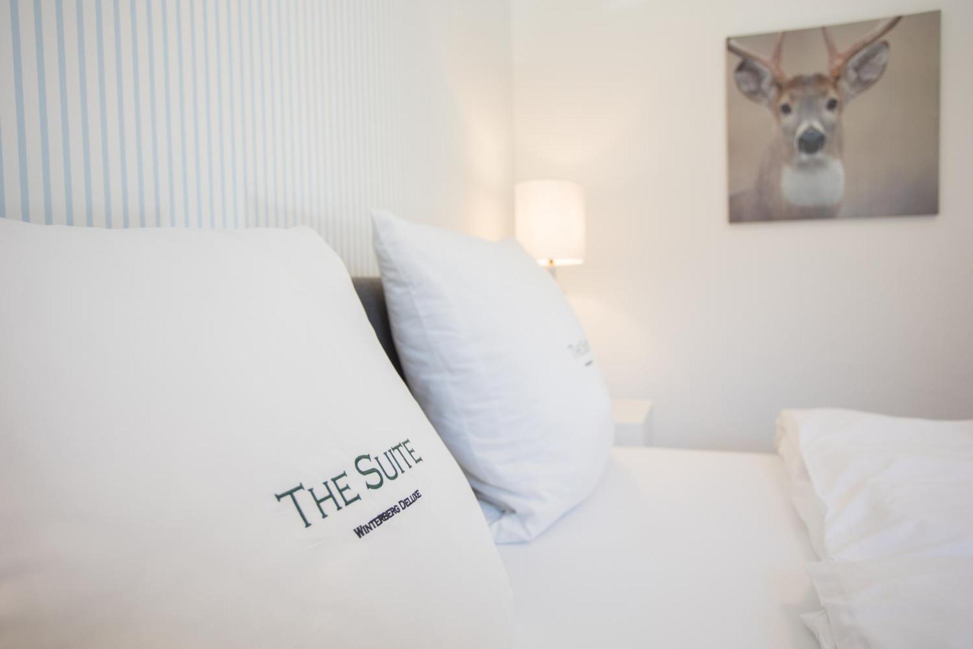 Appartement The Deluxe - Exklusive Ausstattung, Bestlage Zwischen Skikarussell Und Marktplatz, Eigener Garten, Ski- Und Fahrradraum, Ruhige Suedausrichtung, Wlan, Hundefreundlich Winterberg
